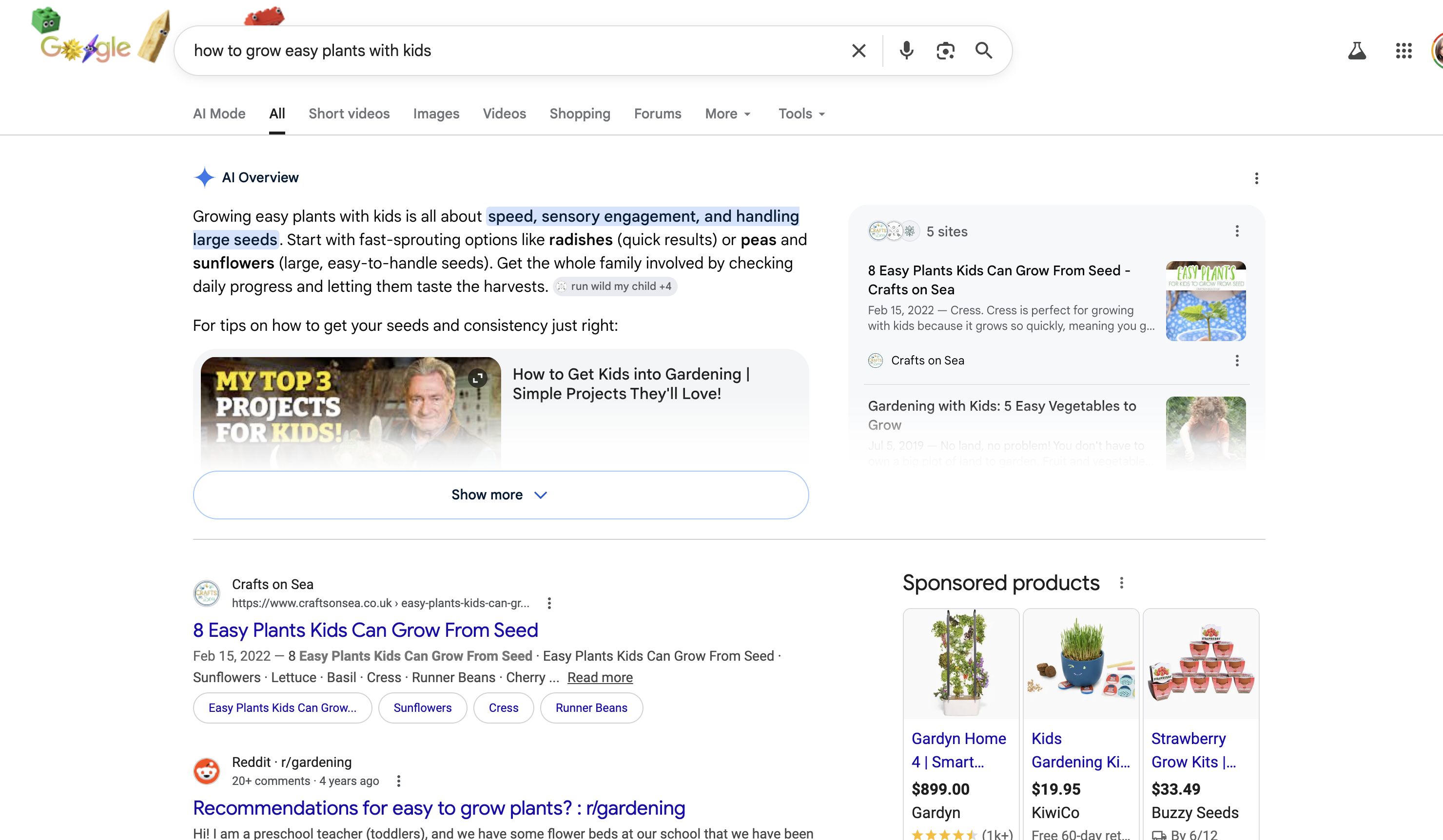 Google AI Overview result